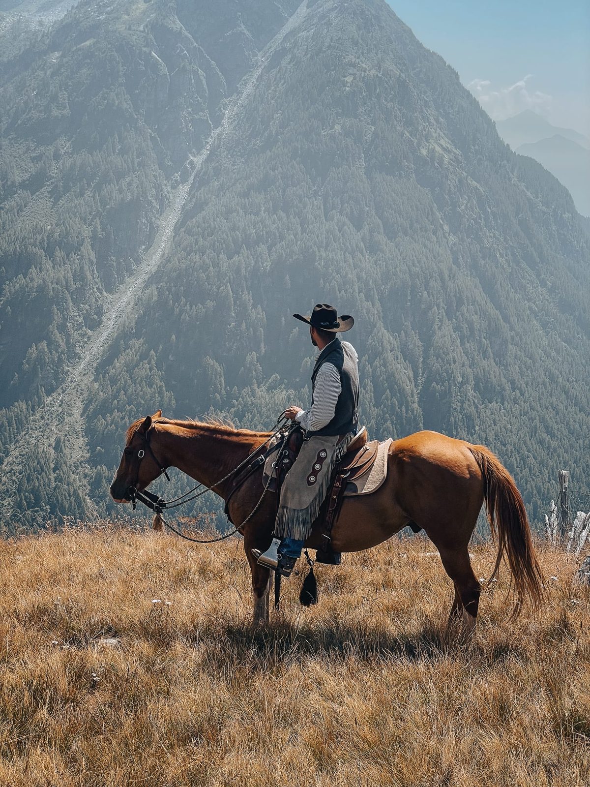 Cavaliere osserva la vallata alpina